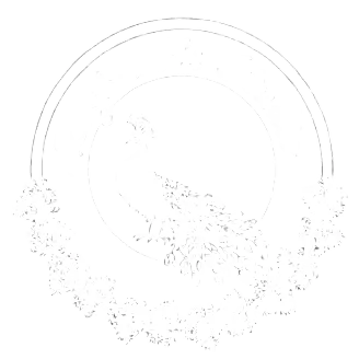 Logo White